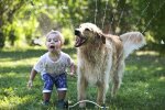 Погода в Україні, фото з pxhere