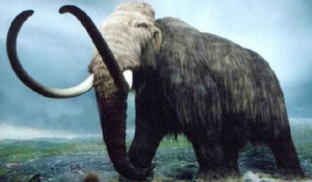 В Арктике нашли лучший материал для клонирования мамонта