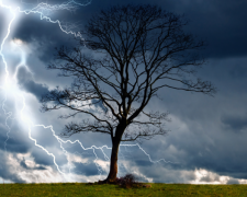 З'явились подробиці інциденту зі смертельною блискавкою у Львові