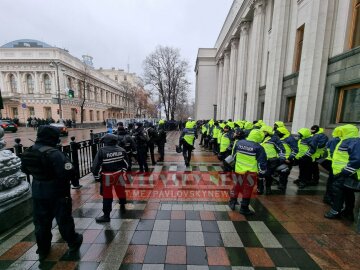 Мітинг у центрі, фото: Pavlovsky