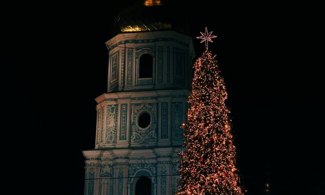 Елка, фото: Знай.ua