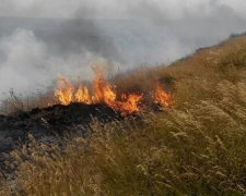 Біля Коблево горить 40 га трави (фото)