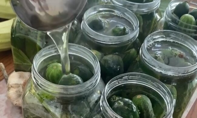 Соление огурцов, скриншот: instagram.com/s_bezrukov
