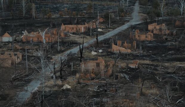Пожежі в Чорнобильській зоні, скріншот: YouTube