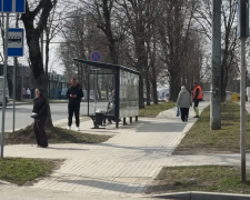 Весенняя погода. Фото: скрин youtube