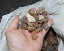 Водій на Рівненщині віз у машині 50 кг бурштину