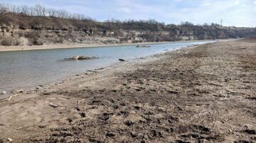 Днестр река