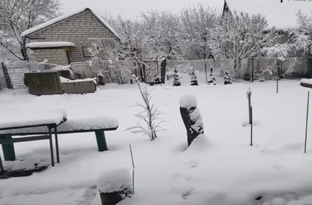 Зимовий сад. Фото: Youtube