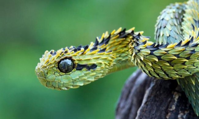 12 червня: яке сьогодні свято