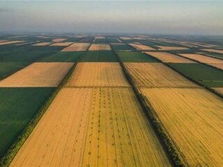 Сільськогосподарська земля на Черкащині
