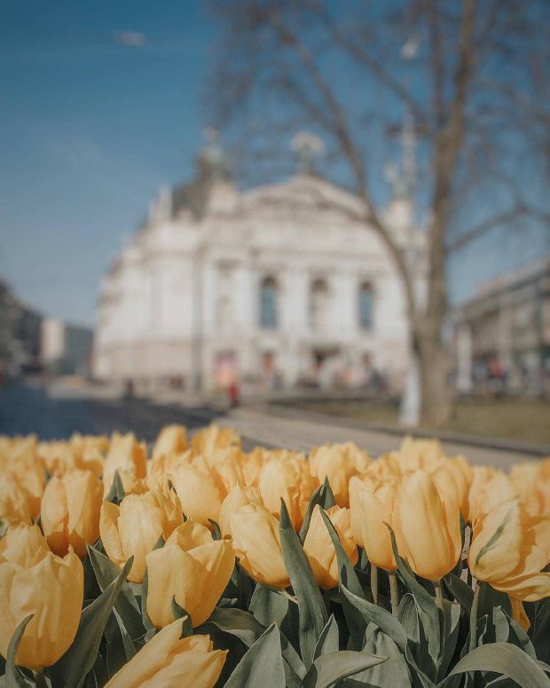 Погода на 8 марта: весна одарит украинцев, но не цветами