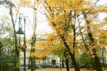 Синоптики приготували сюрприз для львів'ян 22 вересня: про таку осінь ви мріяли