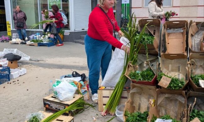 Пучки лепехи (аїру) — традиційна зелень, якою українці прикрашають оселі на Трійцю