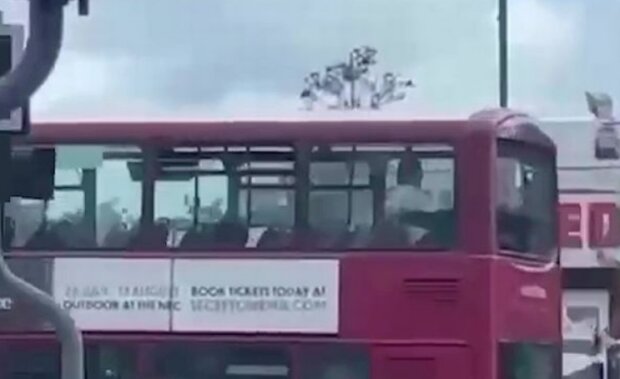 "Полуничка" в автобусі, кадр з відео