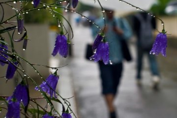 Погода в июне: аномальная стихия испортит украинцам начало лета
