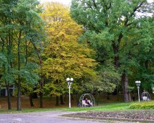 Винница, парк, декоративное фото