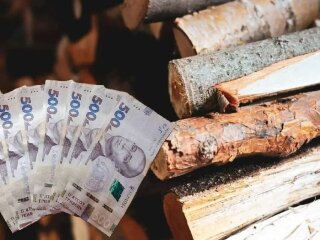 Фінансова допомога ВПО на опалення взимку
