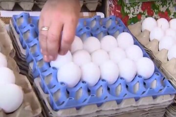 Курячі яйця. Фото: скрін youtube
