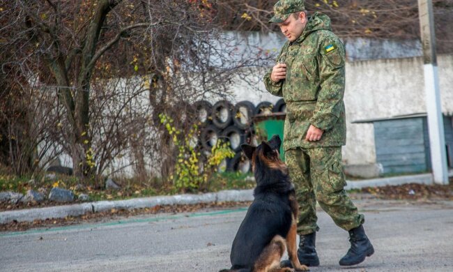 Окровавленный и босой: в Днепре посреди улицы обнаружили труп 30-летнего парня