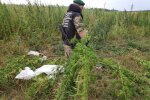 Пограничники сняли "российских шпионов" на Донбассе, неопровержимые доказательства для ОБСЕ