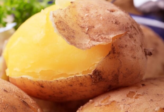 Картошка в мундире, кадр из видео