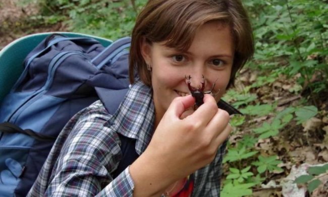 Спасите жука: в Харькове призвали подняться на защиту насекомых