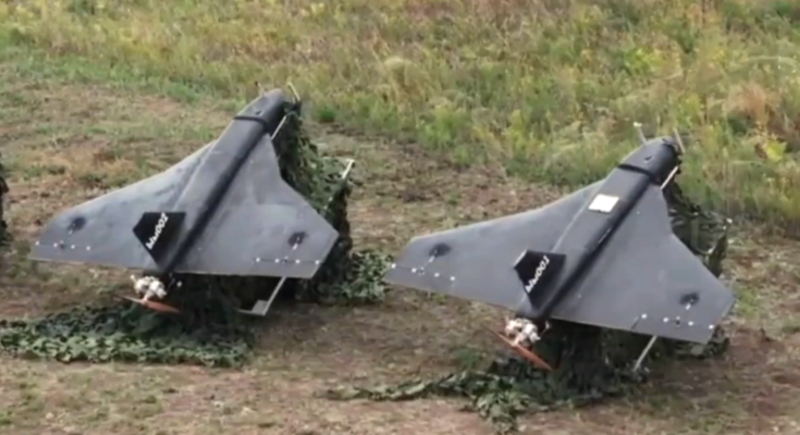 БПЛА "Гербера". Фото: скрін youtube