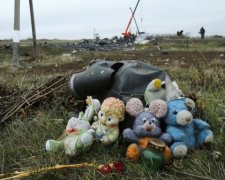 Присутствие зла: адвокат жертв MH17 обратился к Путину