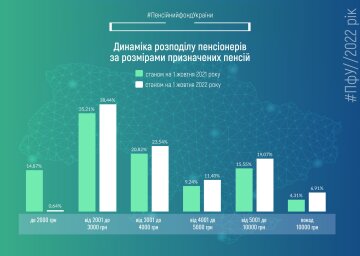 Скриншот инфографика, ПФУ