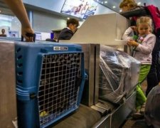 Австралієць переслав себе посилкою через півсвіту
