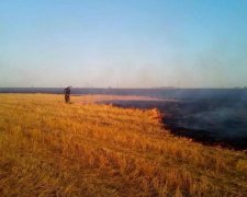 Масштабный пожар под Николаевом уничтожил техники на сотни тысяч долларов