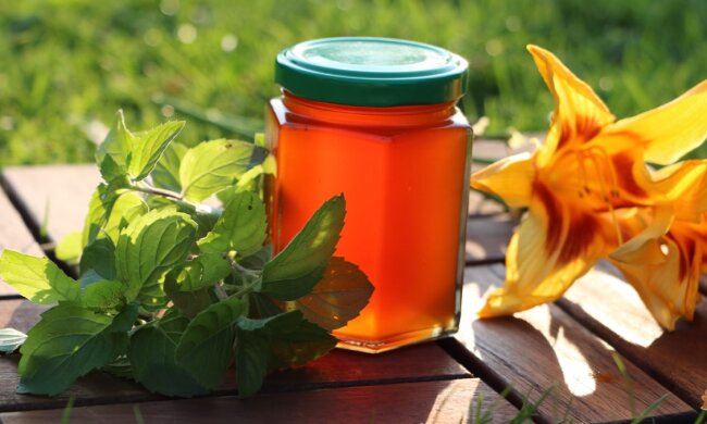 Домашний мед из мелиссы, фото YouTube