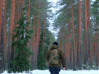 Ліс, фото: скріншот з відео