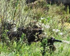 День Незалежності на Донбасі: ЗСУ витримали півтора десятка атак