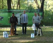 В Ужгороде провели выставку собак "Звезда Закарпатья", скриншот