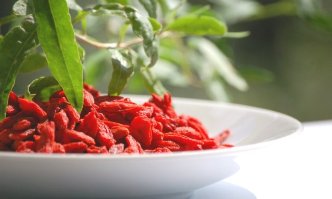 Лише одна ложка на день: ці ягоди покращують роботу мозку та захищають від смертельної хвороби