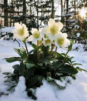 Фото: Игорь Огородник