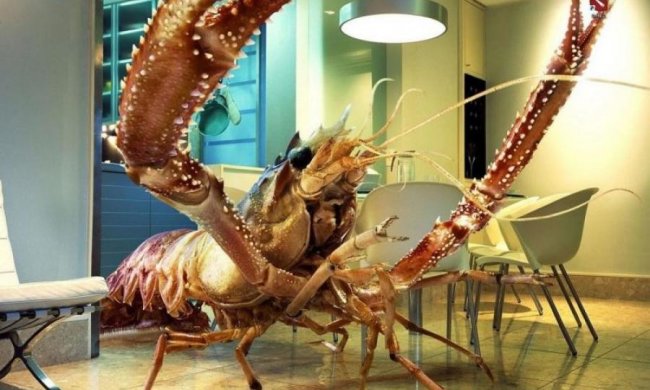 Креветки підлючилися до боротьби за екологію