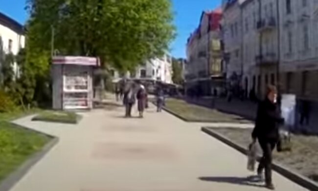 В "облысевшем" Тернополе высадят новые деревья - вместо лип