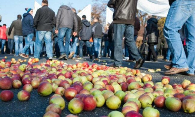 Украина под шумок забросала Европу яблоками