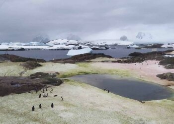 Антарктида / фото: instagram.com/antarcticcenterua/