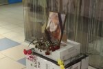 Нашли в петле: молодая продавщица в Виннице "рассчиталась" с долгами жуткой гибелью