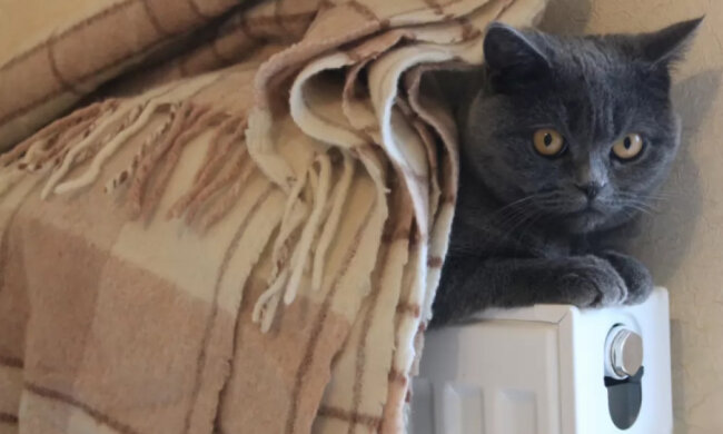 В Украине стартует повышение тарифов на отопление: названы даты и суммы