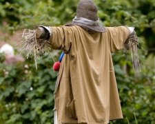Канадські поля від гусей охоронятимуть лазерні опудала