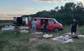 Мертві тушки худоби / фото: Полтавська Думка