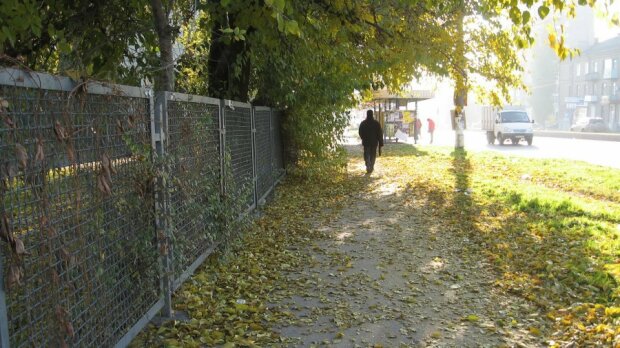 Геть куртки і черевики: в Запоріжжі 19 жовтня синоптики пообіцяли сонечко, заряджайтеся теплом