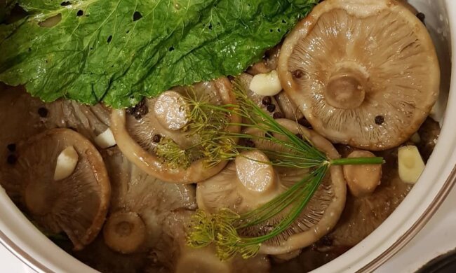 Засолка грибов, фото: instagram.com/zakatki_zakrutki