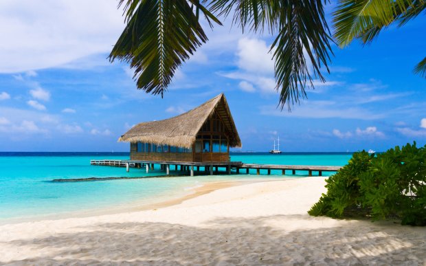 Где остановиться на островах: лучшие отели на Багамах, Карибах и Бермудах