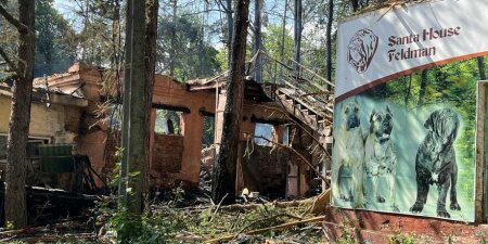 Фельдман Экопарк Харьков