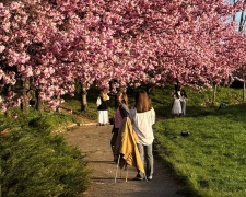 Українці, ботанічний сад, фото із соцмереж
